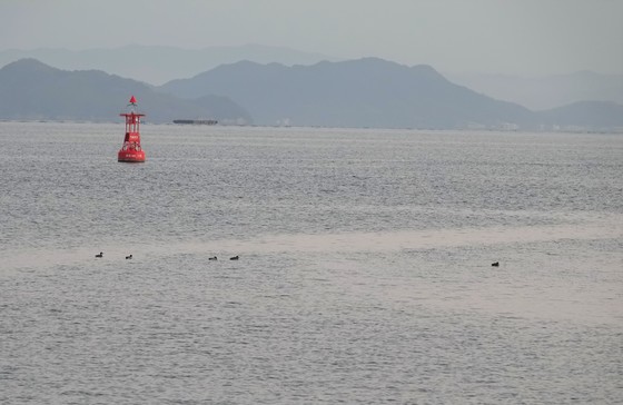 湾内から馬立灯台方向に泳いでいる。